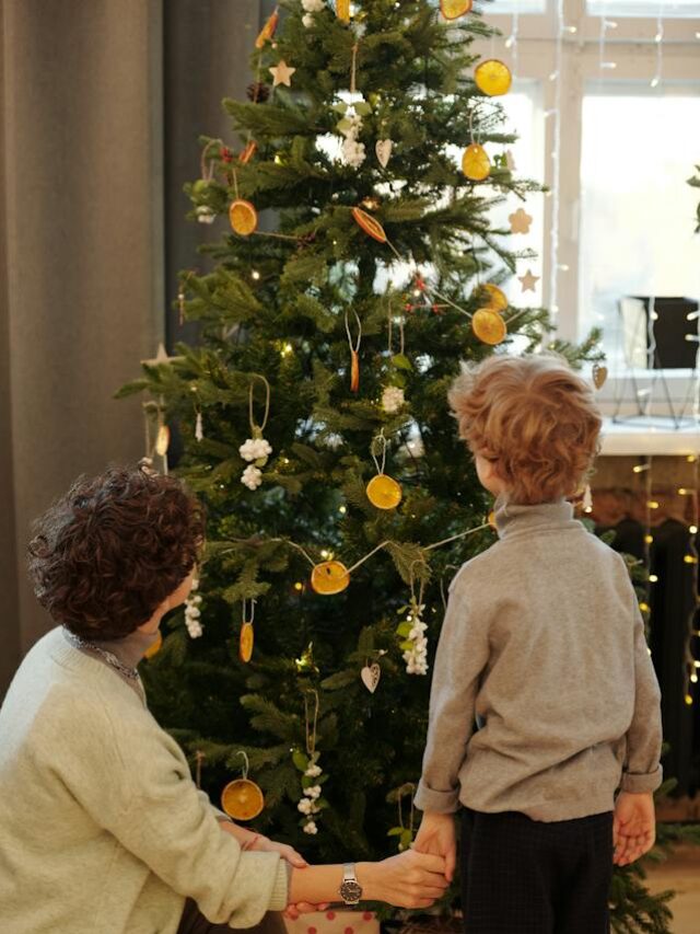 7 Eco-Friendly Christmas Tree Ideas